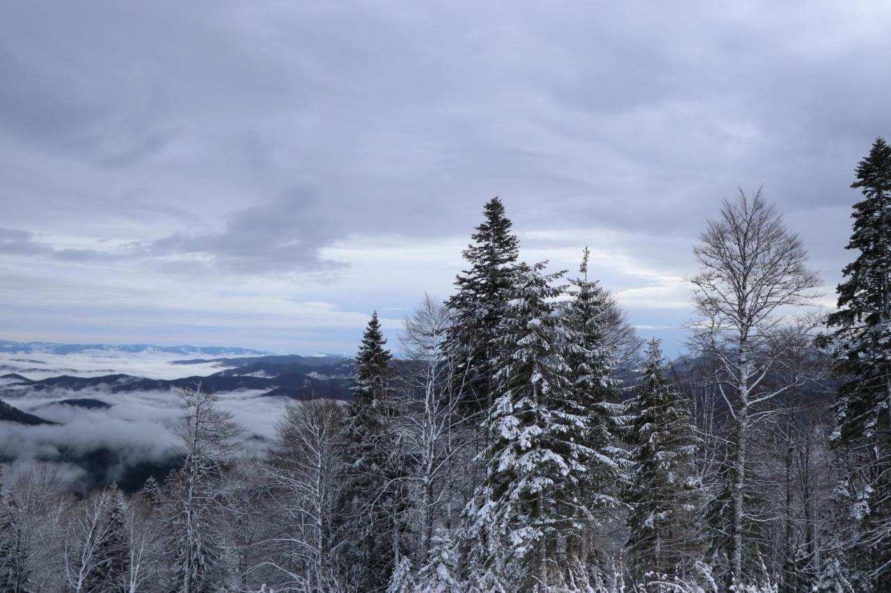 Apartmani VIDIK - Groodvy House Jahorina Exteriér fotografie